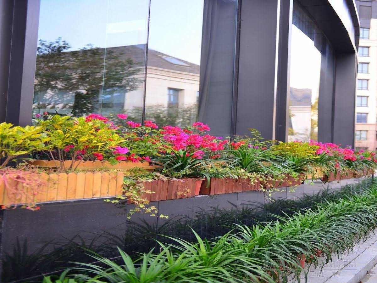 Urban Island Hotel שנגחאי מראה חיצוני תמונה
